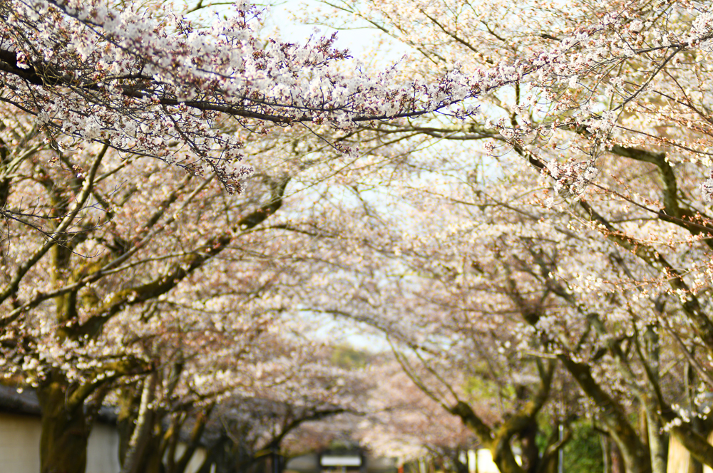 撮影について画像１