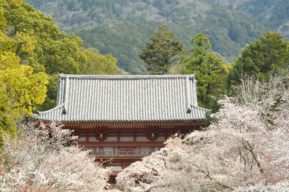 撮影について画像１