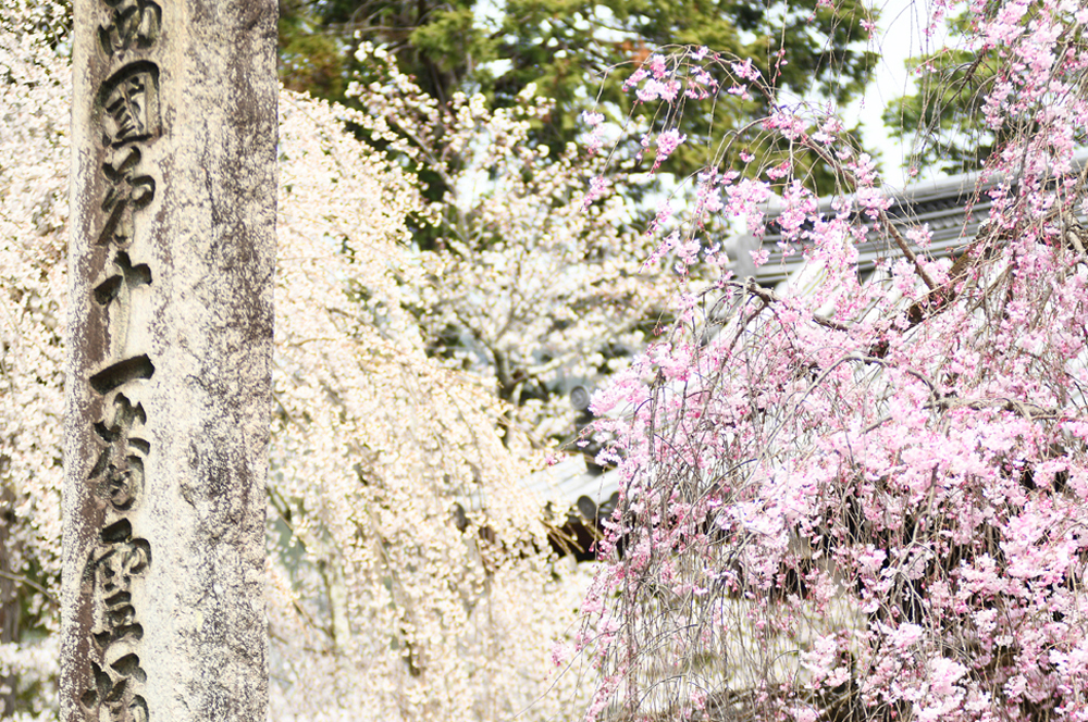 撮影について画像１