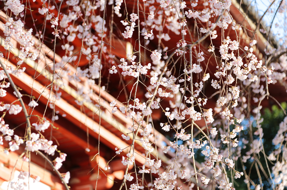 撮影について画像１