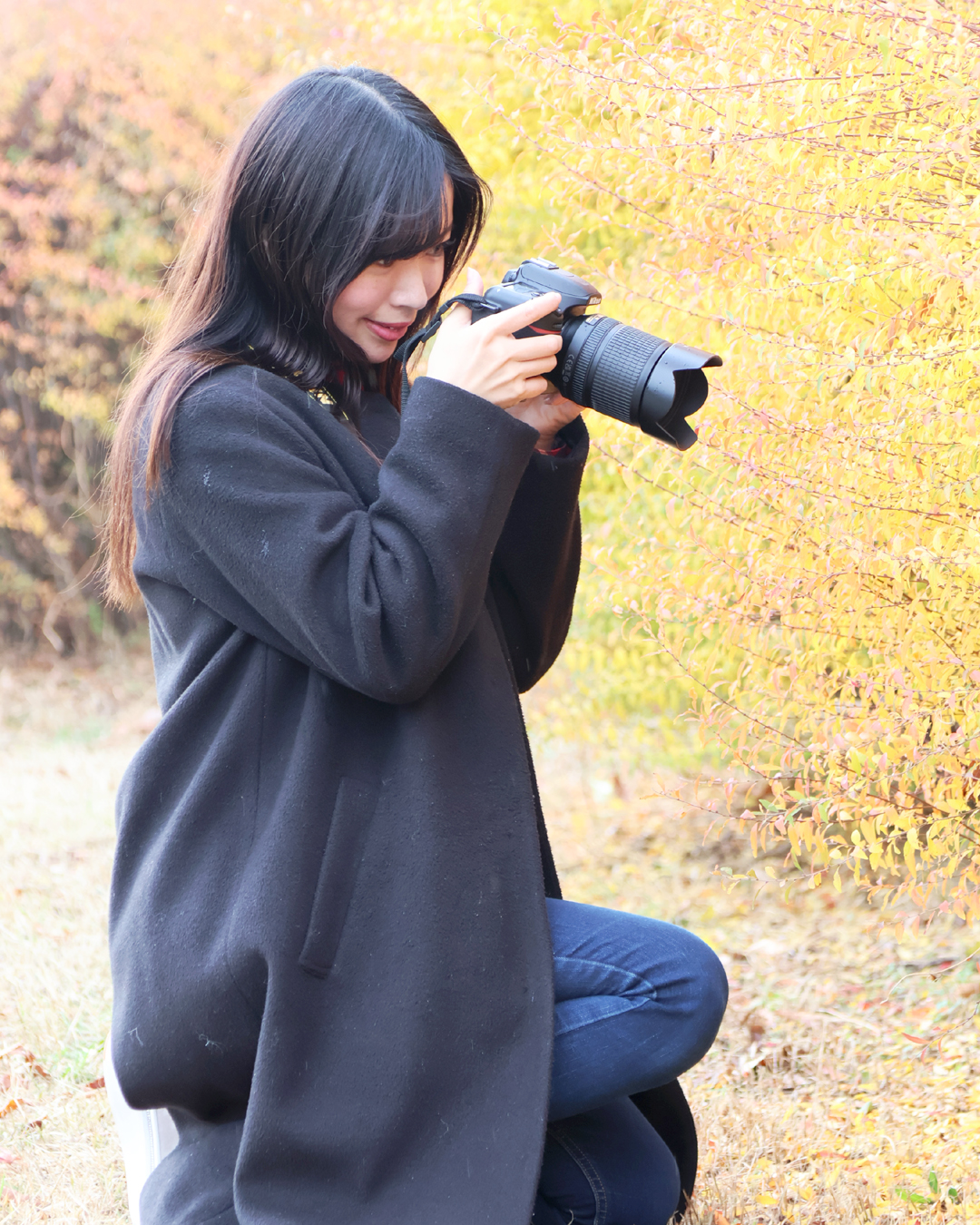 一眼レフデビュー